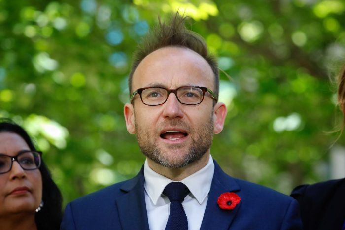 Adam Bandt stands in front of lush green tree to address the media.