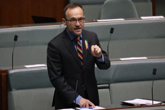 Adam Bandt stands at his desk speaking, with one hand pinched and the other pointing to his notes