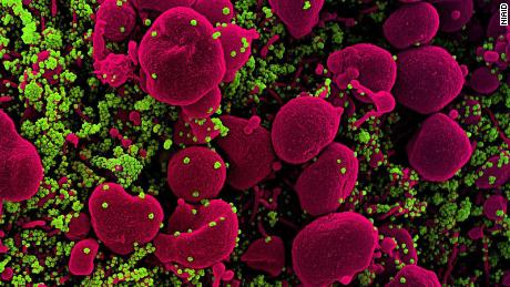 What we know -- and still don&#39;t know -- about the coronavirus