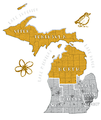 Image: Political geography michigan