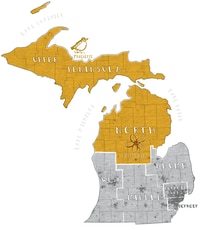 Image: Political geography michigan