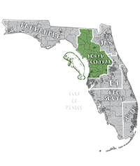 Image: Illustrated map of Florida.