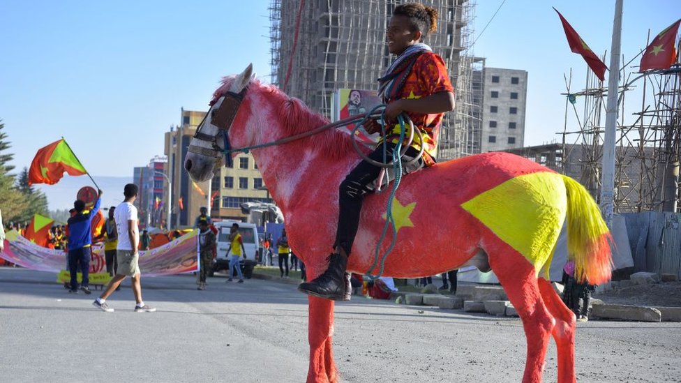 A resident of Mekelle region rides a horse painted in the colours of the Tigray regional flag as they attend celebrations marking the 45th anniversary of the launching of the "Armed Struggle of the Peoples of Tigray", on February 19, 2020, in Mekelle