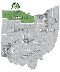 Image: Illustrated map of Ohio.